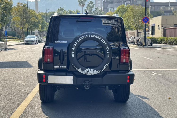 Used Tank 300 2024 2.0T Conqueror Exterior 5