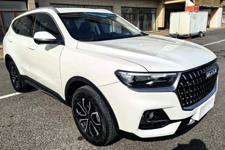 Used Haval H6 2023 National Trend Edition 1.5T Automatic Urban Version Exterior 2