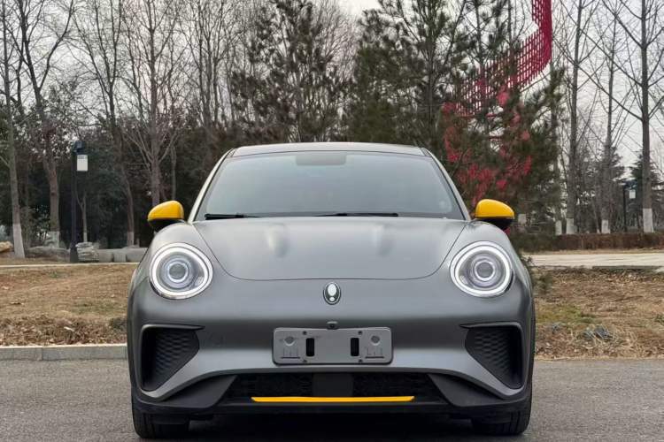 Used ORA Good Cat GT 2023 Mulan Edition 401km Prestige Version
