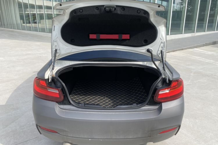 Used BMW 2 Series 2014 220i Leading Model
