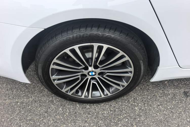 Used BMW 5 Series 2019 530Li Luxury Edition Premium Package Exterior 10