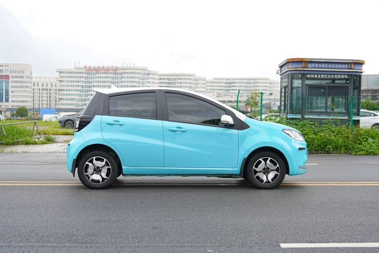 Used SOL E10X 2022 Flower Fairy Style Baby's Breath