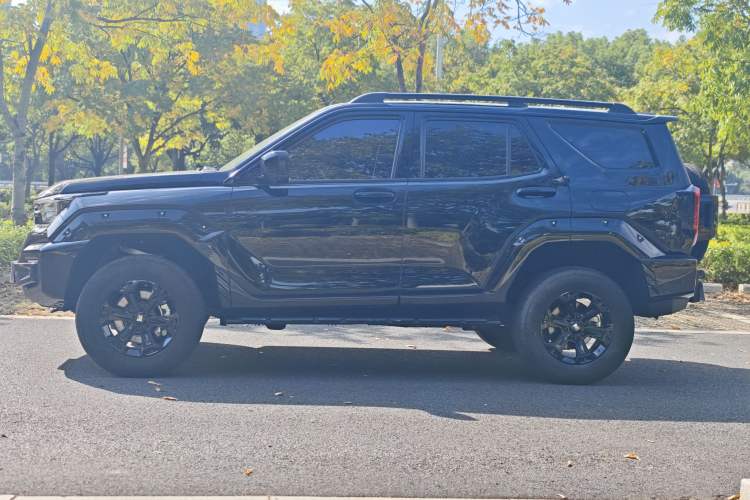 Used Tank 400 2025 2.0T Gasoline Version
