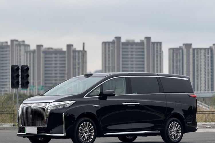 Used Wey Gaoshan 2025 Four-Wheel Drive Alpine 8