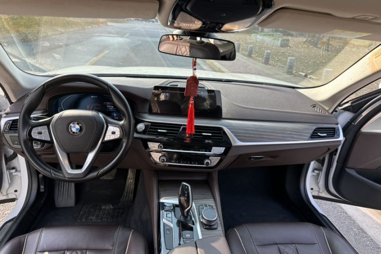 Used BMW 5 Series New Energy 2020 530Le Luxury Package
