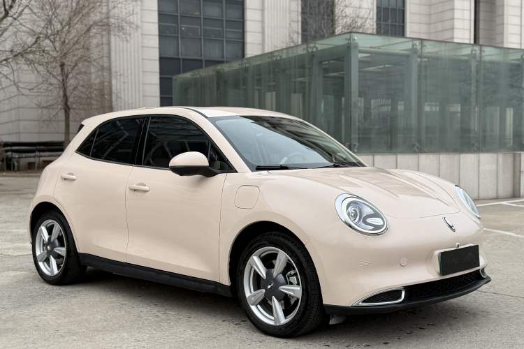 Used ORA Good Cat 2022 Morandi Edition 400km Standard Range Premium Version Lithium-Ion Battery