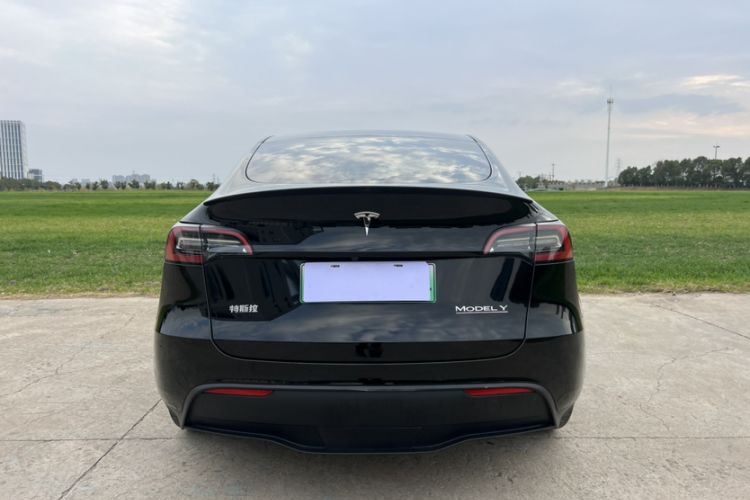 Used Tesla Model Y 2021 Performance High-Performance All-Wheel-Drive Version