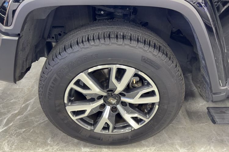 Used Tank 300 2024 2.0T Crosser Exterior 4