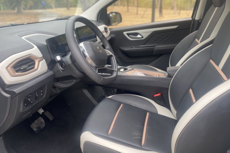 Used SOL E10X 2022 Flower Fairy Design Four-Leaf Clover