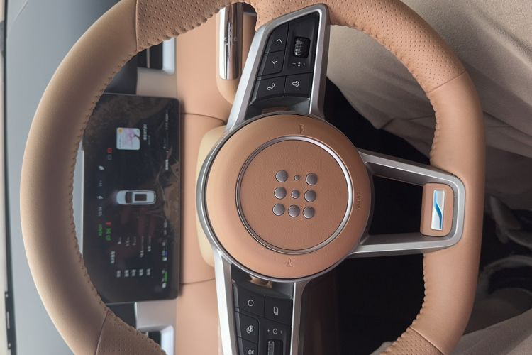 Used Landian E5 PLUS 2025 165 km Long-Range First Edition 7-Seater