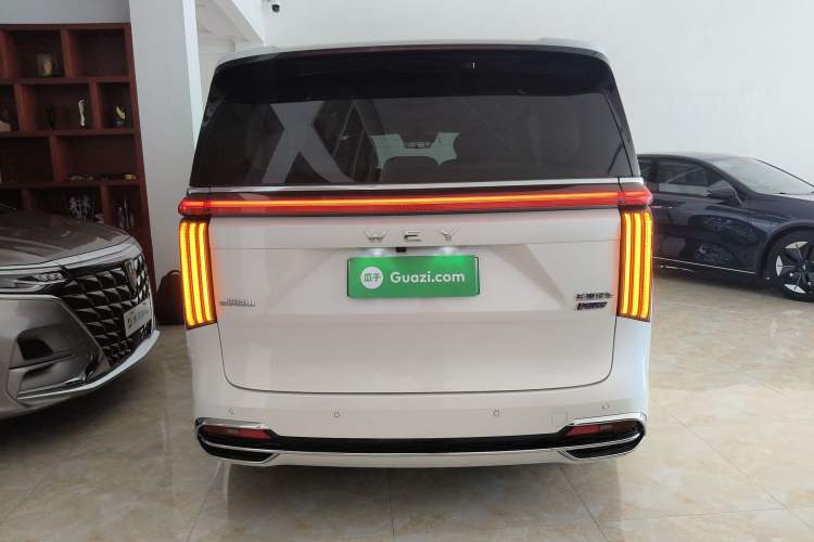 Used Wey Gaoshan 2023 Four-Wheel Drive Flagship Edition
