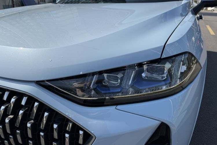 Used Wey Mocha 2021 2.0T Four-Wheel Drive Premium Edition