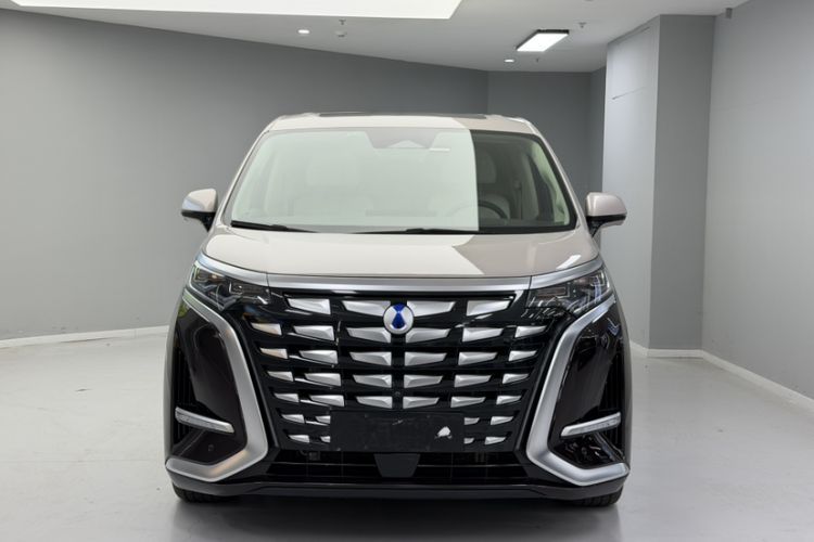 Used Denza D9 2023 PREMIER Founder Edition