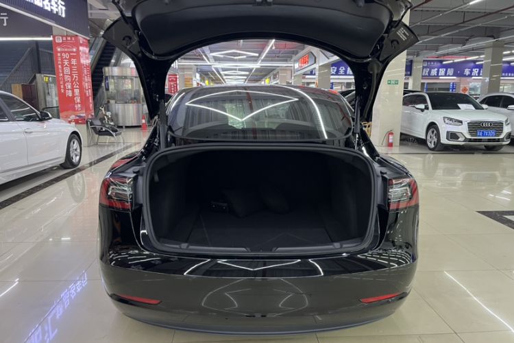 Used Tesla Model 3 2021 Standard Range Rear-Wheel Drive Upgraded Version 3D6
