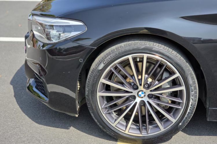 Used BMW 5 Series 2020 530Li Leading Model M Sport Package Exterior 5