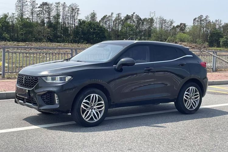 Used Wey VV5 2019 Upgraded Model 2.0T Two-Wheel Drive Ultra-Luxury Version China V Standard