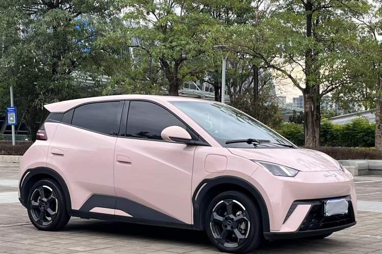 Used BYD Seagull 2023 Flying Edition Exterior 3