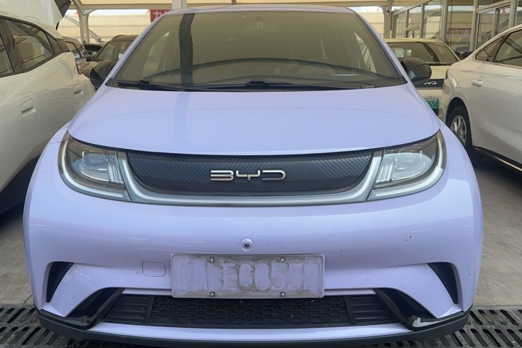 Used BYD Dolphin 2023 420 km Free Version