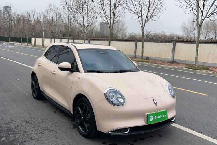 Used ORA Good Cat 2024 401 km Luxury Version