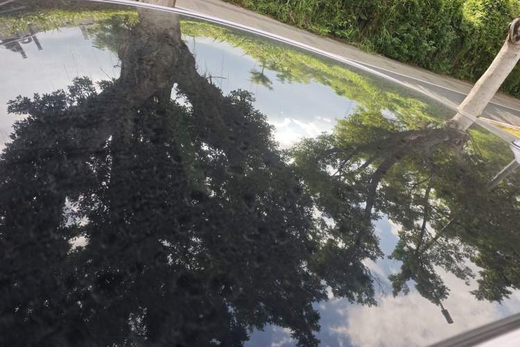 Used BYD Dolphin 2021 405 km Fashion Edition