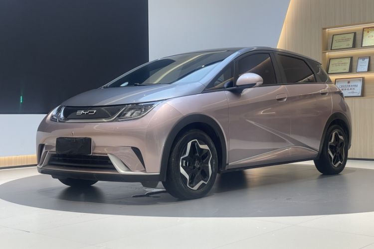 Used BYD Dolphin 2021 405 km Free Version