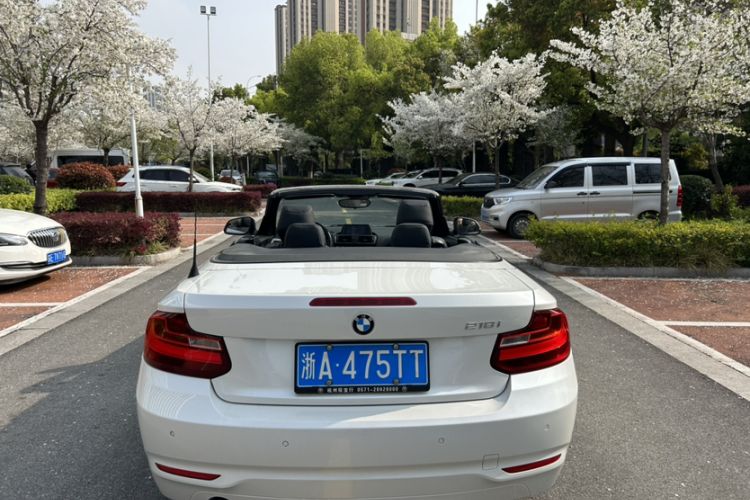 Used BMW 2 Series 2015 218i Convertible Coupe Headliner