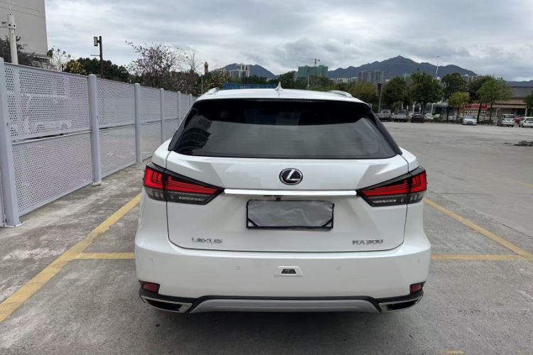 Used Lexus RX 2020 300 Two-Wheel Drive Elite Edition China VI Standard
