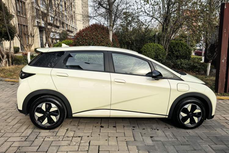 Used BYD Dolphin 2025 420km Free Edition
