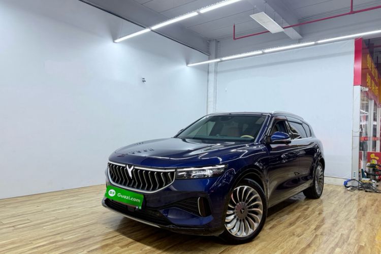 Used VOYAH FREE 2021 Four-Wheel Drive Standard Range-Extended Version