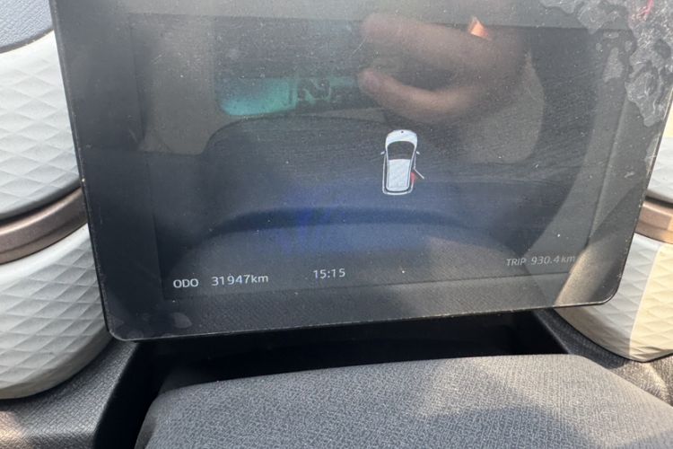 Used SOL E10X 2022 Flower Fairy Design Four-Leaf Clover