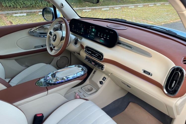 Used ORA Ballet Cat 2023 401 km Luxury Version
