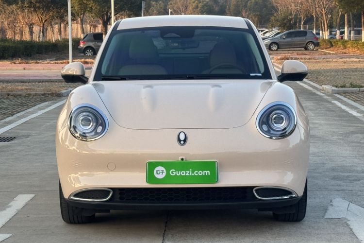 Used ORA Good Cat 2023 401 km Standard Range Luxury Version Lithium Iron Phosphate
