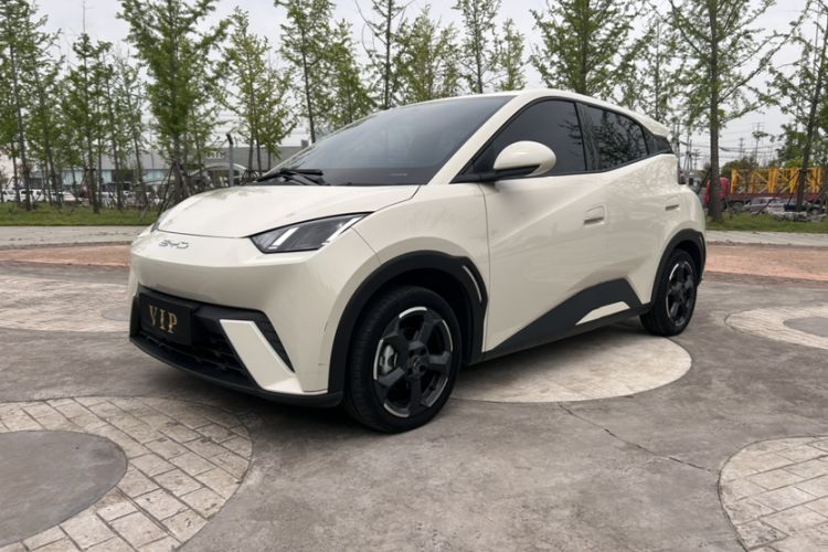 Used BYD Seagull 2023 Flying Edition