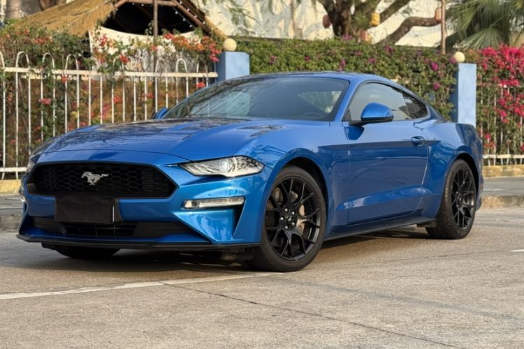 Used Ford Mustang 2019 2.3L EcoBoost
