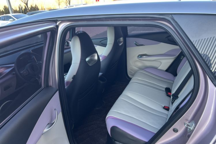 Used BYD Dolphin 2023 401km Knight Edition Interior 1