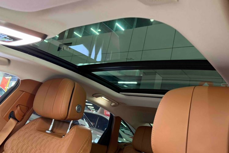 Used Hongqi H9 2020 2.0T Smart Connect Flagship Edition