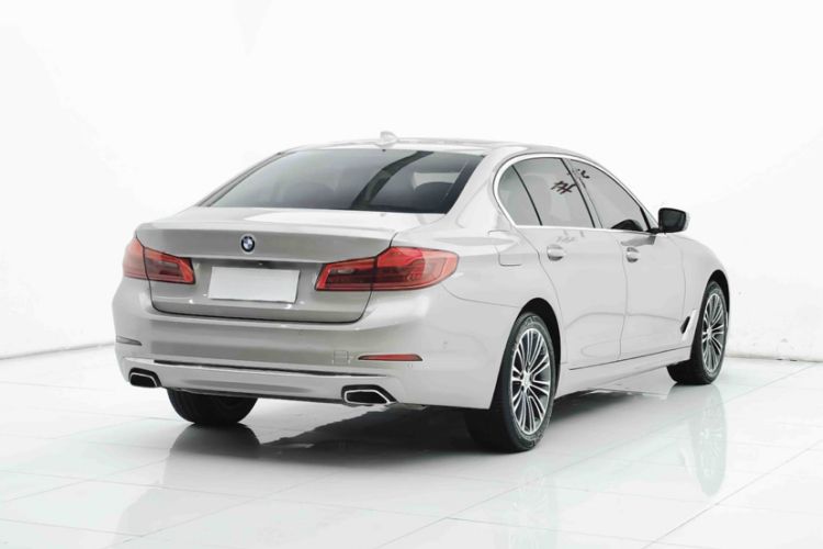 Used BMW 5 Series 2019 530Li Luxury Edition Premium Package
