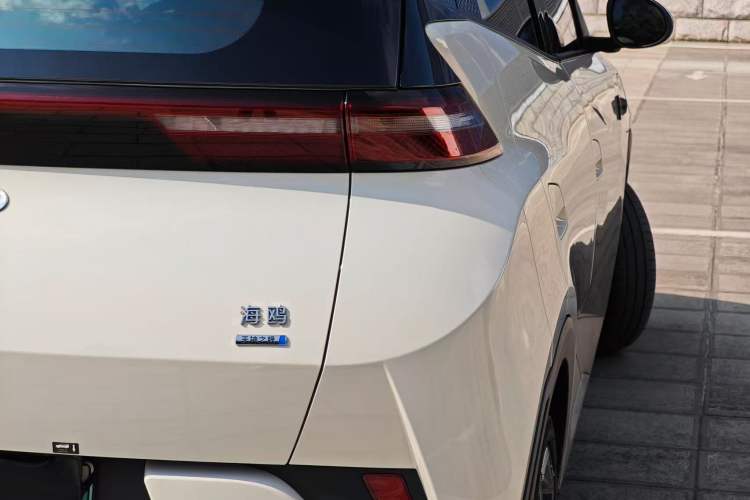 Used BYD Seagull 2025 Smart Drive Version 305 km Freedom Edition
