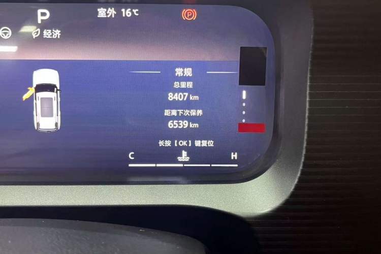 Used BAIC Off-Road BJ30 2024 1.5T Light Wilderness Pro Edition Odometer Close Up