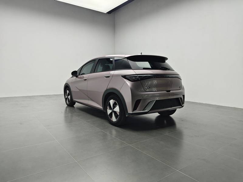 Used BYD Dolphin 2023 420 km Fashion Edition — 30