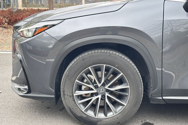 Used Lexus NX 2023 260 Front-Wheel Drive ChuanYou Special Edition
