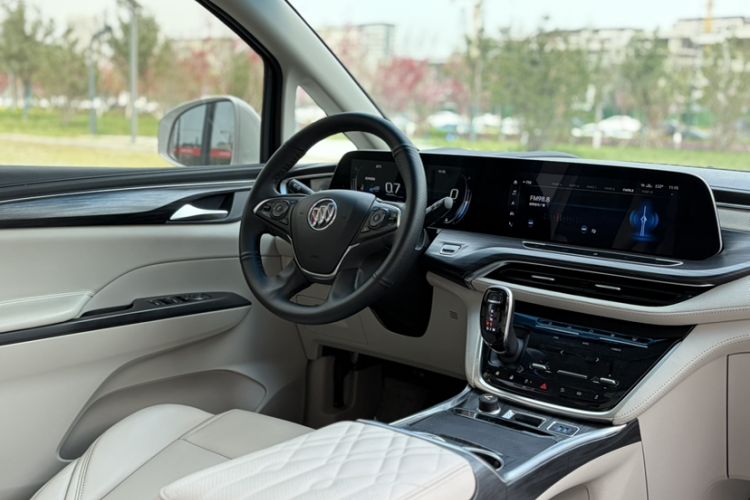 Used Buick GL8 2021 ES Landtrek 653T Comfort Edition Interior 5