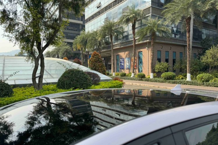 Used BYD Dolphin 2025 Intelligent Driving Version 410 km Fashion Edition