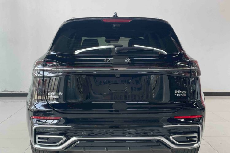 Used Hongqi HS5 2023 2.0T Four-Wheel Drive Flagship Pro Edition Exterior 1