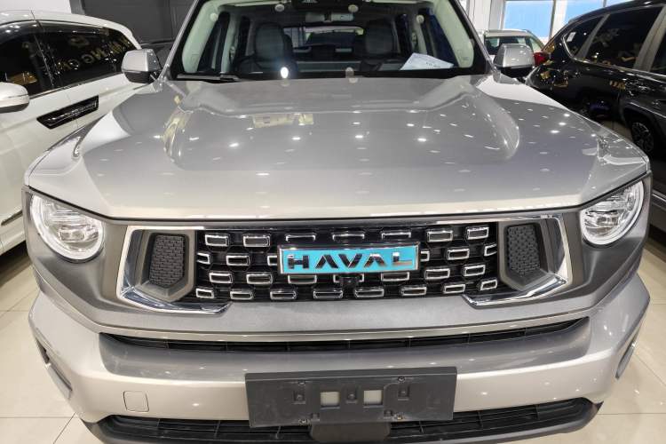 Used Haval H Dog New Energy 2023 DHT-PHEV 105km Tide Electric Version Plus Exterior 5