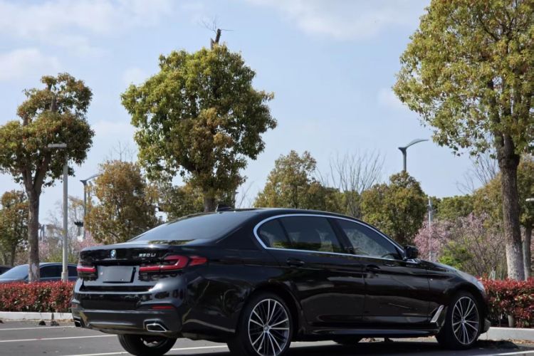 Used BMW 5 Series 2020 530Li Leading Model M Sport Package Exterior 10