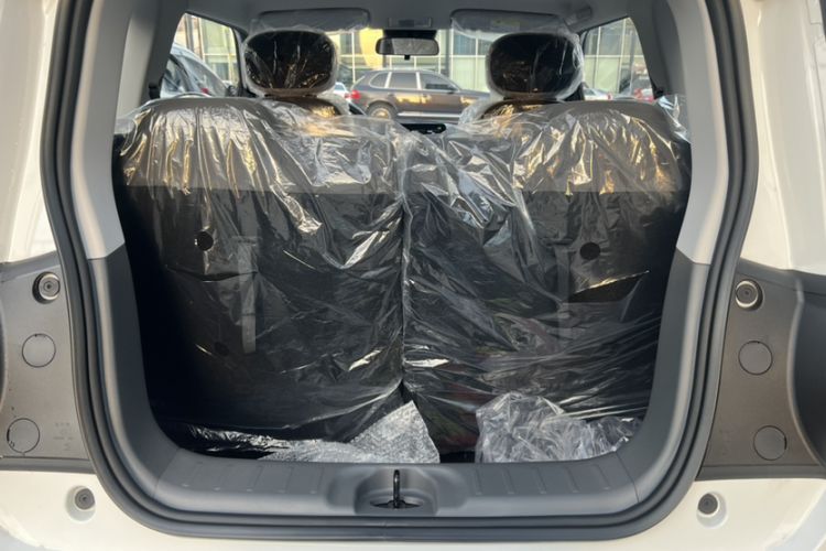 Used Qiyuan Lumin 2025 205 km Xiangqin Version
