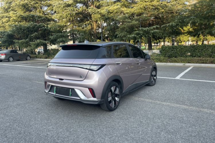 Used BYD Dolphin 2021 401km Knight Edition