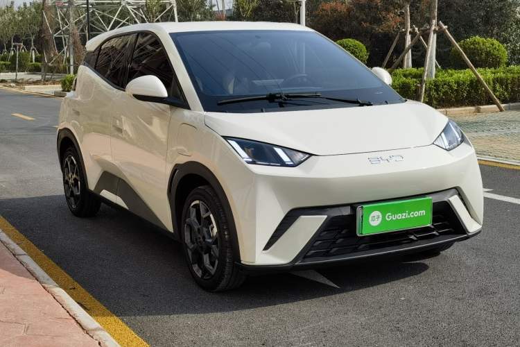 Used BYD Seagull 2024 Honor Edition 305km Freedom Version
