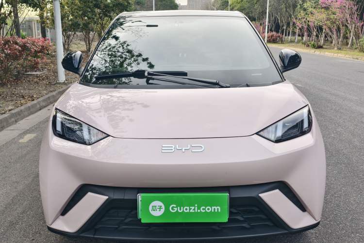 Used BYD Seagull 2024 Honor Edition 305km Freedom Version
